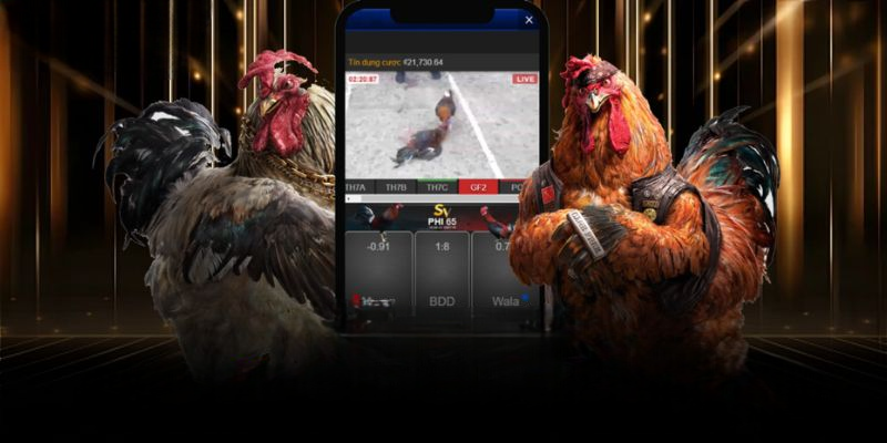 Chơi gì tại nhà cái DAGA để thắng lớn?